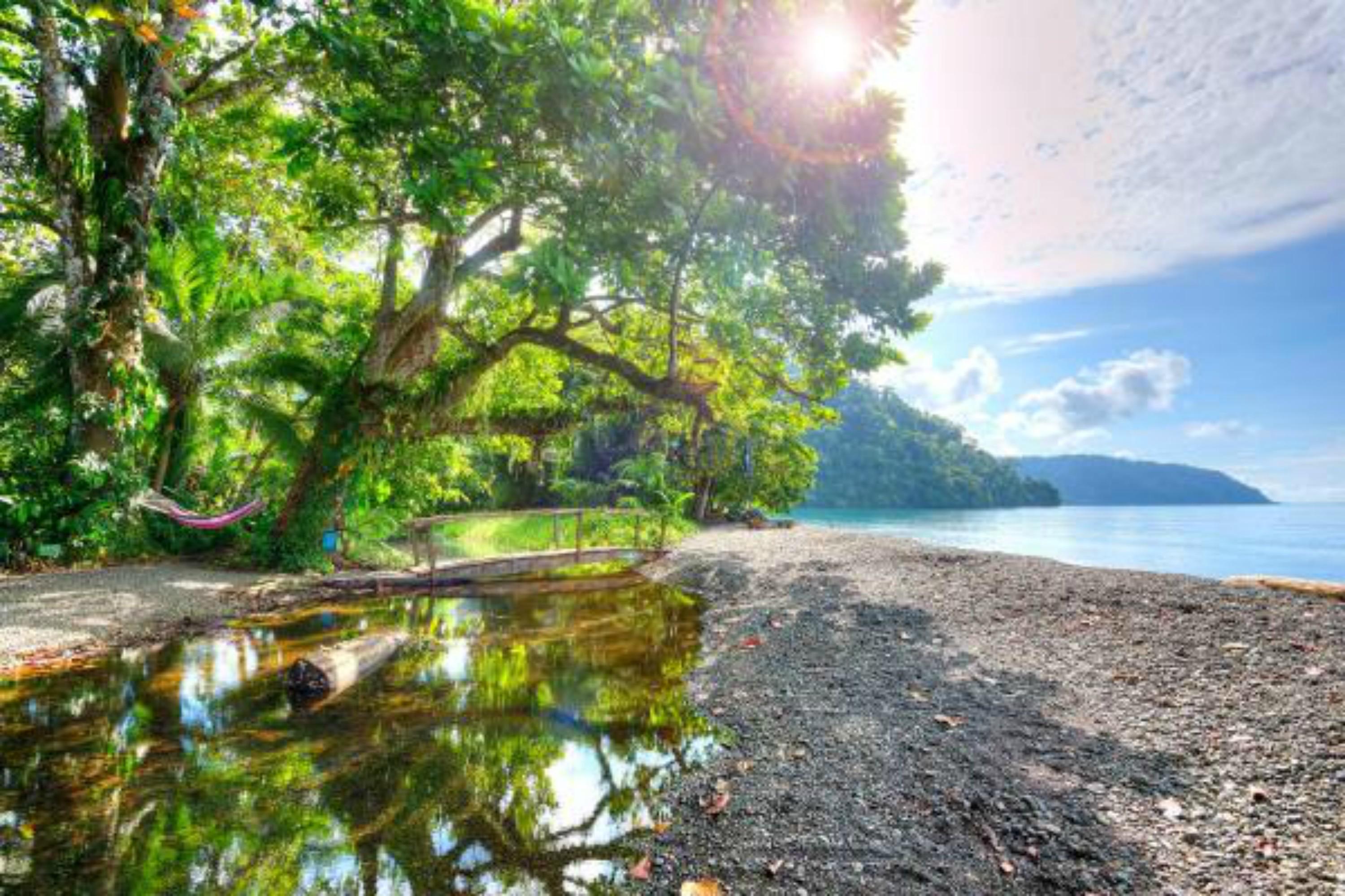 Playa Nicuesa Rainforest Eco Sanctuary โกลฟิโต ภายนอก รูปภาพ