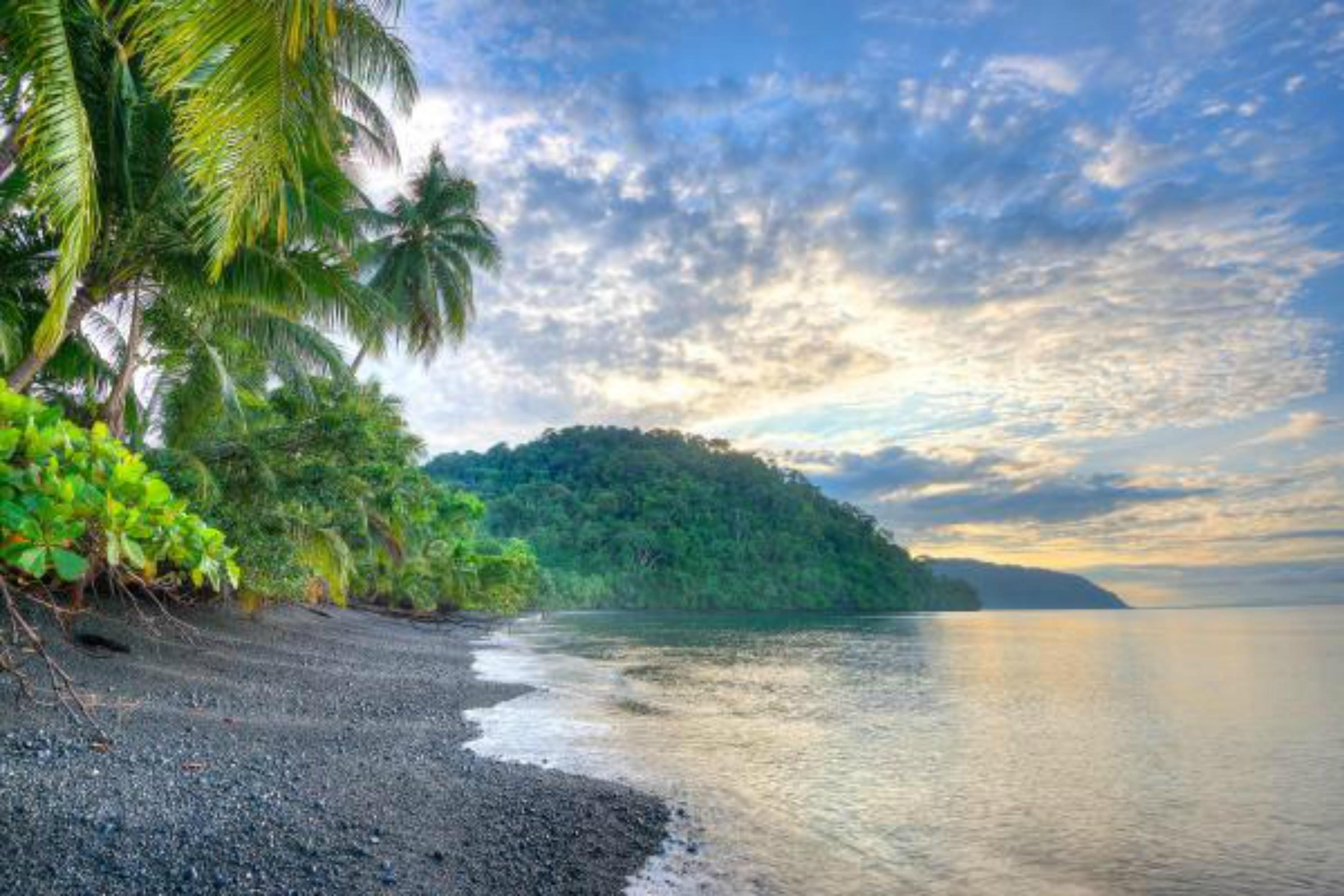 Playa Nicuesa Rainforest Eco Sanctuary โกลฟิโต ภายนอก รูปภาพ
