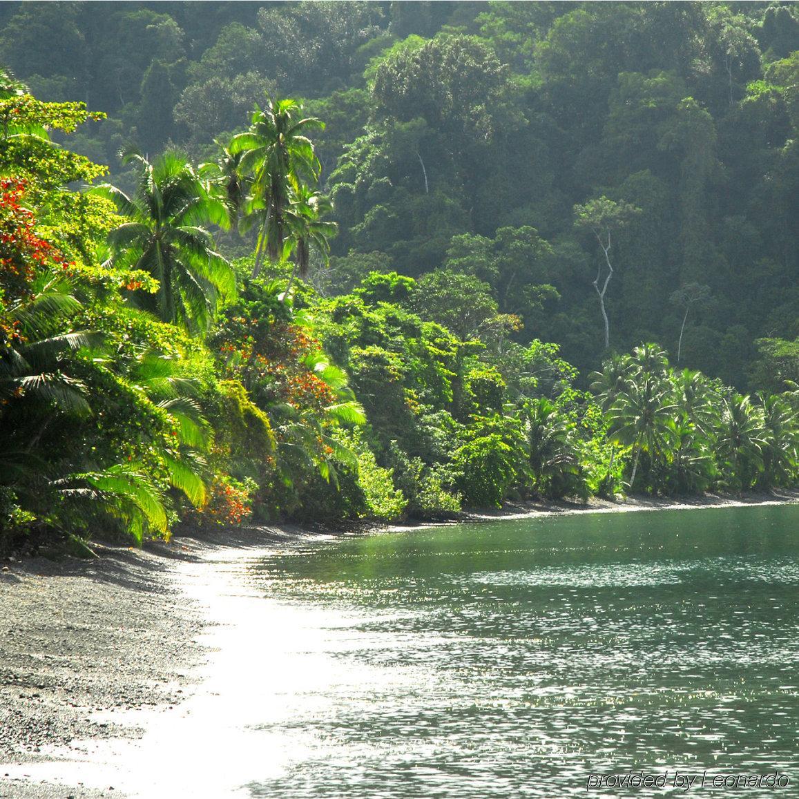 Playa Nicuesa Rainforest Eco Sanctuary โกลฟิโต ภายนอก รูปภาพ