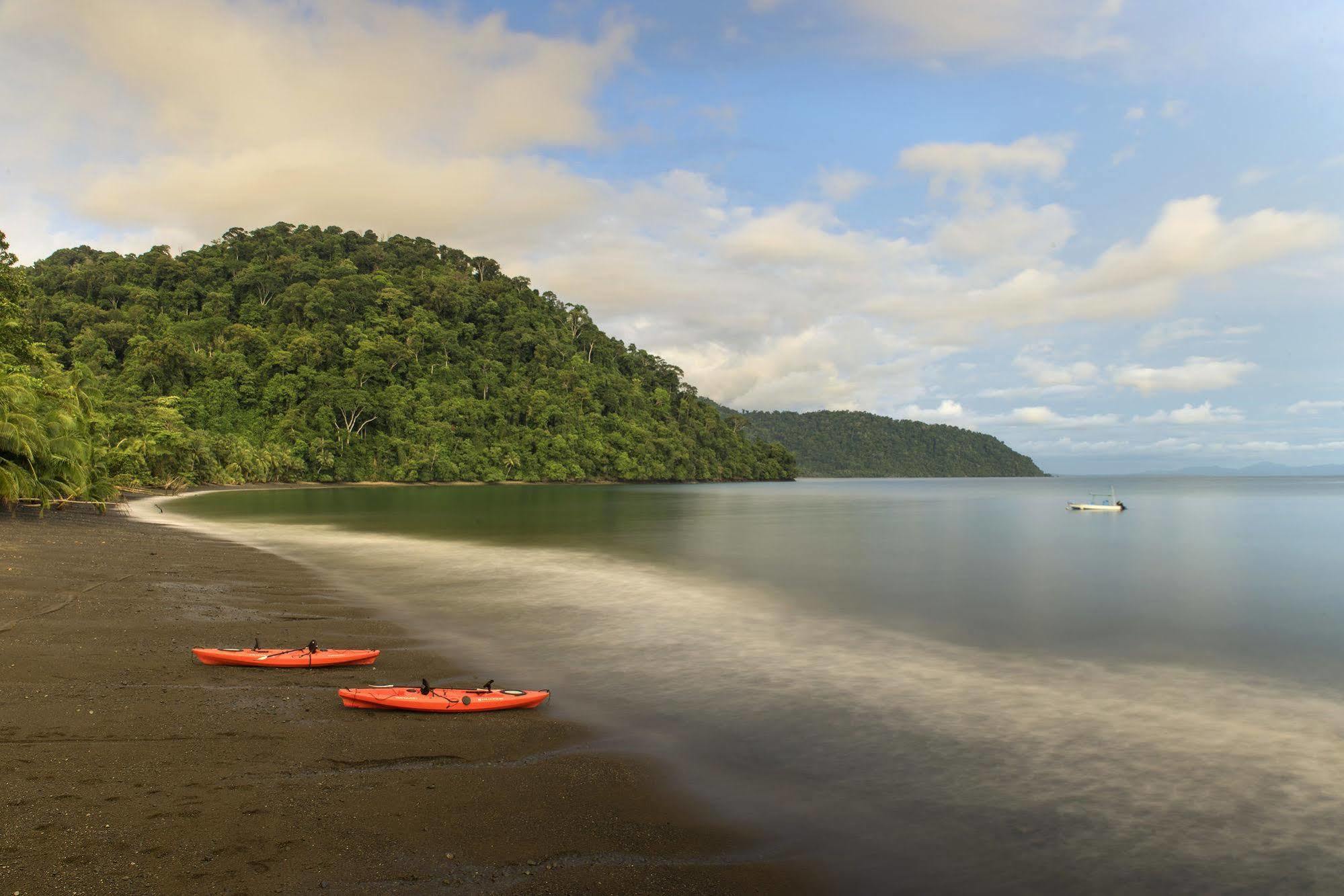 Playa Nicuesa Rainforest Eco Sanctuary โกลฟิโต ภายนอก รูปภาพ