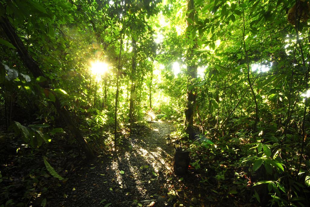 Playa Nicuesa Rainforest Eco Sanctuary โกลฟิโต ภายนอก รูปภาพ