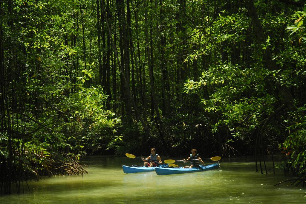 Playa Nicuesa Rainforest Eco Sanctuary โกลฟิโต ภายนอก รูปภาพ